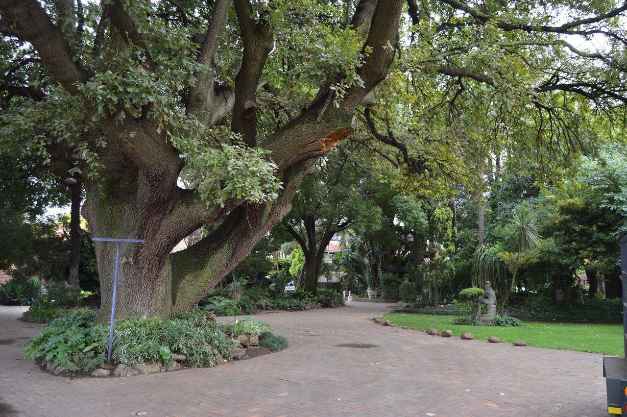 Airport Gardens Boutique Hotel Boksburg Eksteriør billede